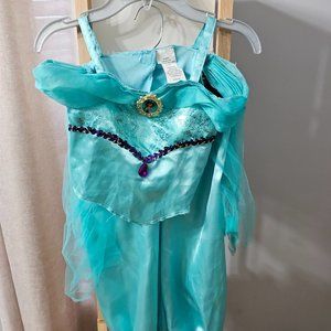 Dinsey fantasy play costume